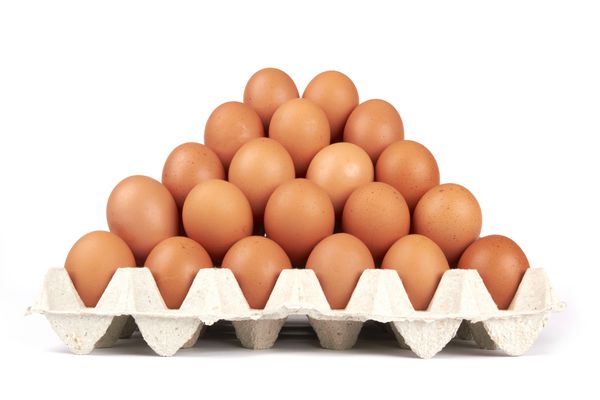 گروه تخم مرغ تازه در سینی pater جدا شده روی سفید
