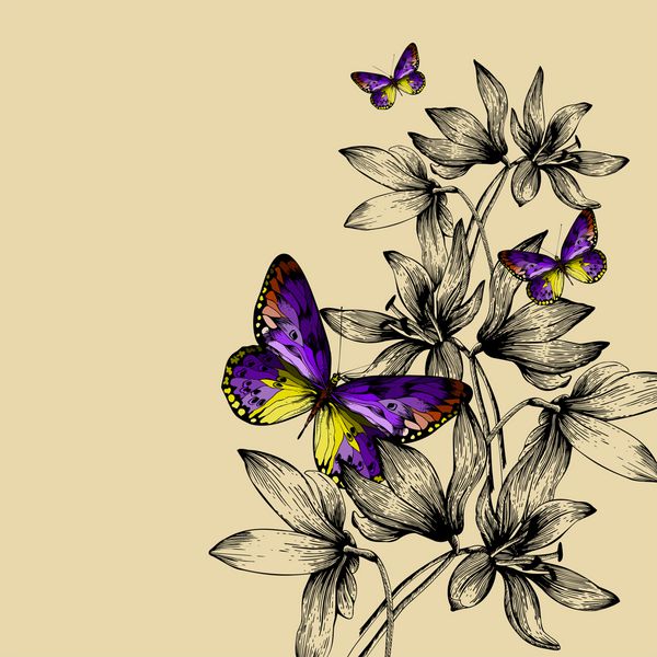 زمینه گل با پروانه های رنگارنگ و برفی نقاشی دستی تصویر برداری