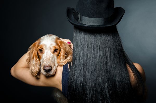 پرتره یک نژاد سگ اسپانیل روسی بر روی شانه یک زن