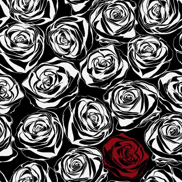 الگوی بدون درز با گلهای رز سیاه تزئینات گل های تزئینی روی زمینه سفید