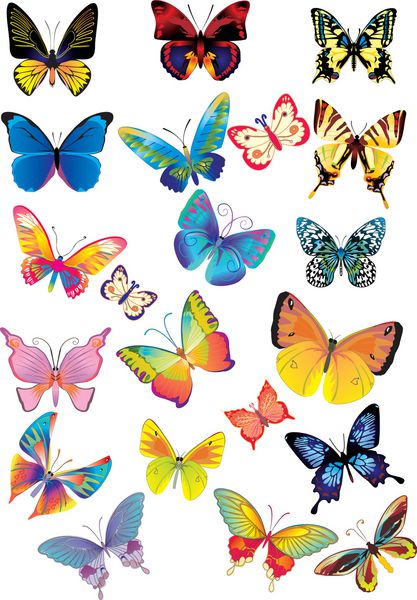 مجموعه ای از پروانه های چند رنگ مختلف وکتور