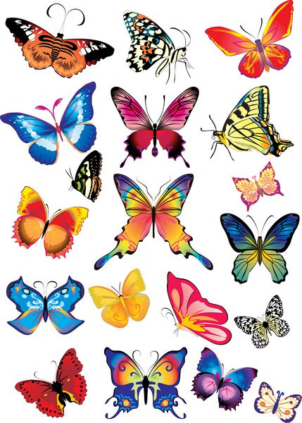 پروانه های چند رنگ مختلف بردار تنظیم کنید