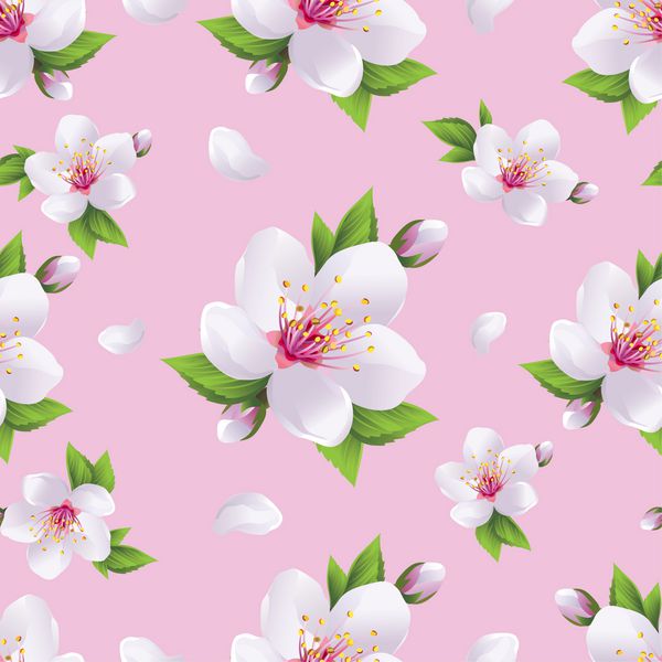 الگوی بدون درز پس زمینه نور زیبا با شکوفه ساکارا سفید درخت گیلاس ژاپنی و گلبرگهای پرواز کاغذ دیواری صورتی بهار گل تصویر برداری