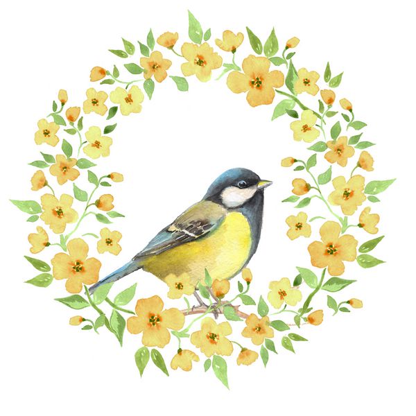 پرنده کوچک زیبا و گلهای زرد تاج آبرنگ و گلخانه 2