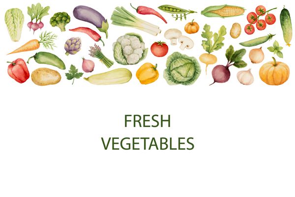 مجموعه ای از سبزیجات آبرنگ الگو برای طرح خود تصویر برداری