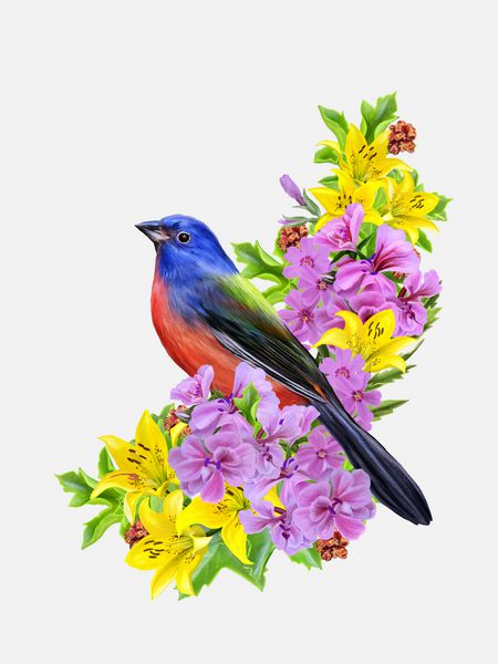 پرنده آبی روی زمینه گلهای زرد و گلهای صورتی