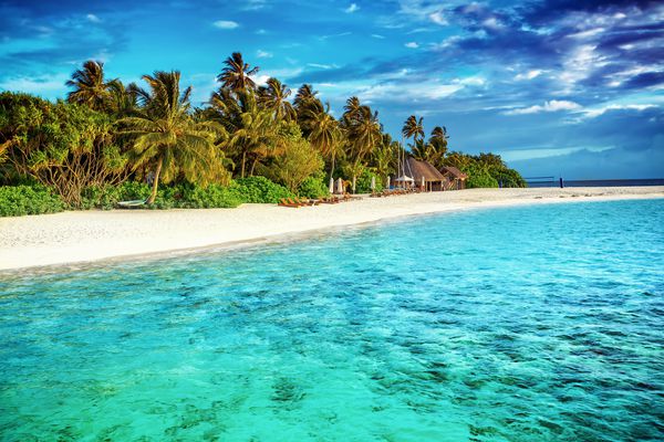 ساحل بهشت ​​زیبا استراحتگاه لوکس گرمسیری دریای شفاف فیروزه ای در اطراف جزیره با نخلستان های تازه سبز در ساحل تعطیلات تابستانی در مالدیو آسیا