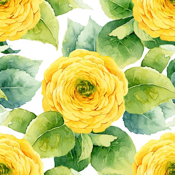 الگوی گل پس زمینه بدون درز آبرنگ رانکولوس زرد تصویر برداری