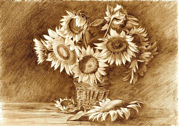 مداد رسم دسته گل آفتابگردان در گلدان نزدیک