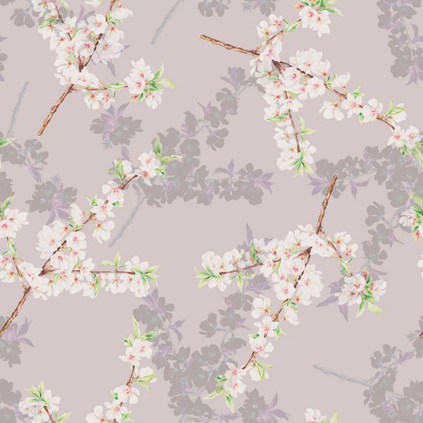 شکوفه گیلاس الگوی بدون درز آبرنگ دست کشیده و زیبا پس زمینه صفحات وب نساجی تصویر زمینه الگوی روی زمینه خاکستری