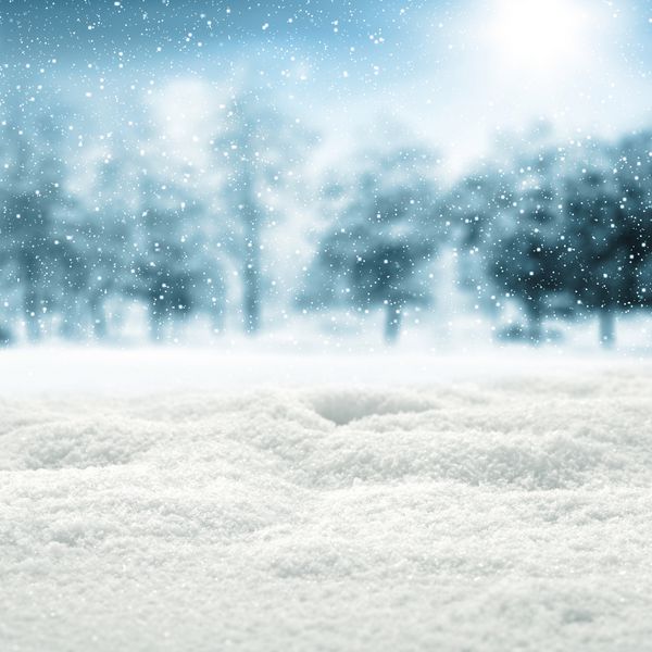 زمینه برف و درختان