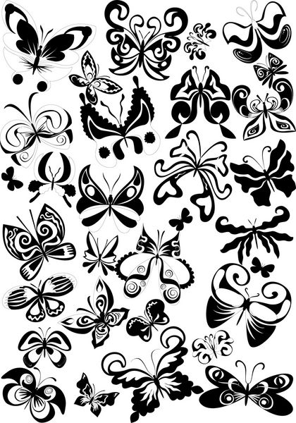بسیاری از پروانه های سیاه و سفید بردار