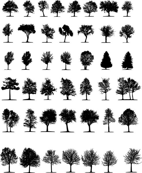 درختان 2 بردار