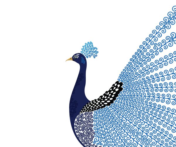 کارت پستال طاووس طلایی طرح دار دعوت تصویر برداری