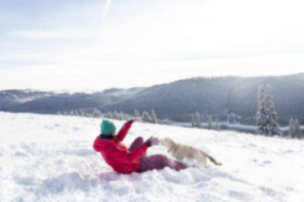 تعطیلات زمستانی سرگرم کننده است دختر با سگ در برف
