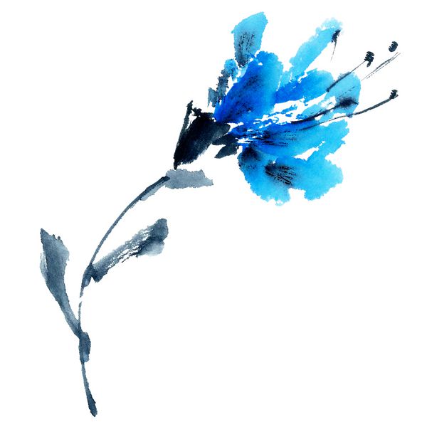 گل آبی نقاشی آبرنگ