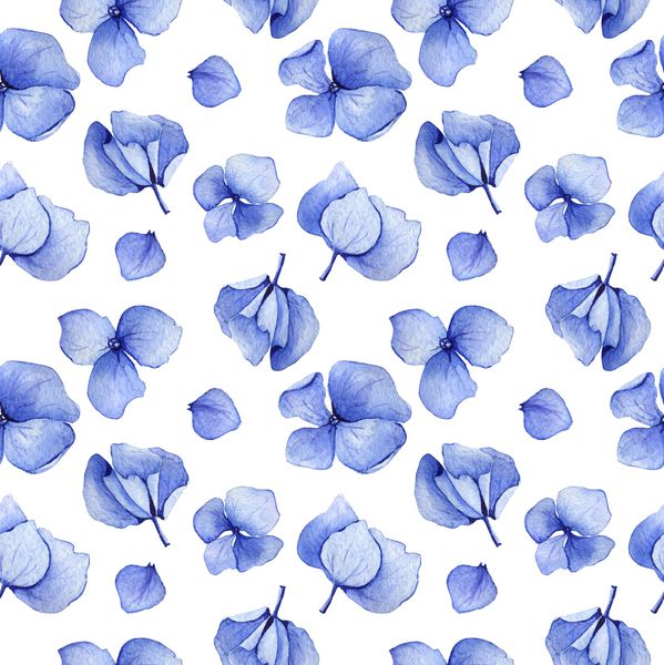 الگوی بدون درز آبی آبرنگ آبی طرح زمینه گل مجموعه ای از گل و برگ کشیده شده ممکن است به عنوان طرح نساجی و موارد دیگر استفاده شود تصویر گیاه شناسی