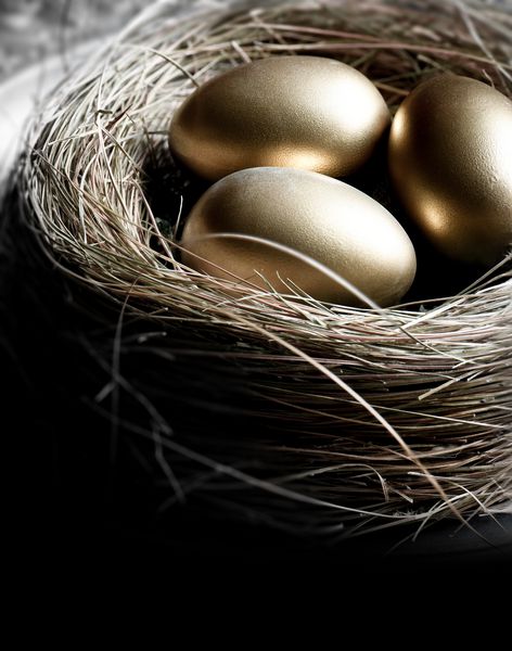 لانه پرنده خلاقانه را با تخم های طلایی روشن می کند که در نور طبیعی شلیک شده است تصویر مفهوم برای سرمایه گذاری های بازنشستگی امور مالی پس انداز یا برنامه ریزی بازنشستگی اسکان برای فضای کپی