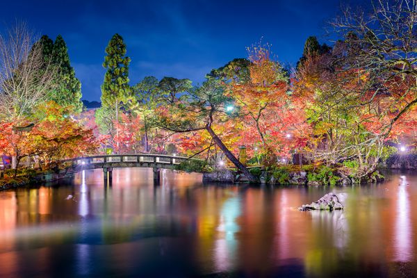 کیوتو ژاپن در باغ ایکاندو شب در پاییز