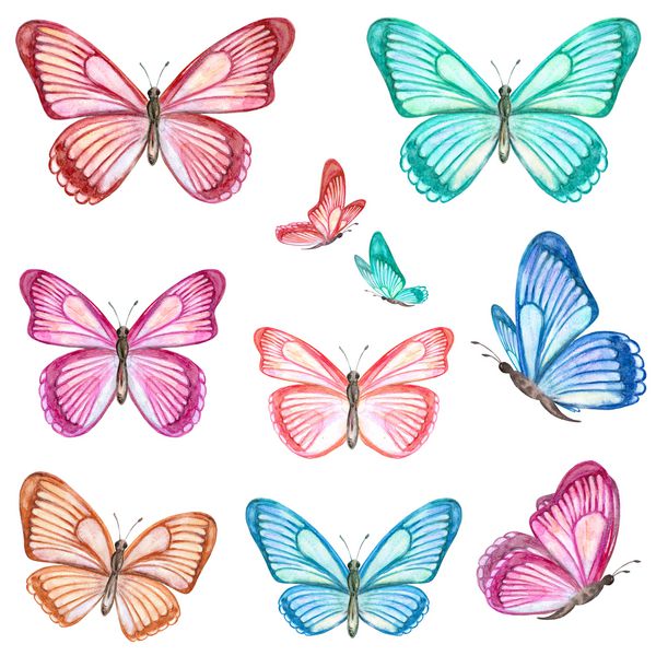 مجموعه ای از پروانه های زیبا برای طراحی شما نقاشی آبرنگ