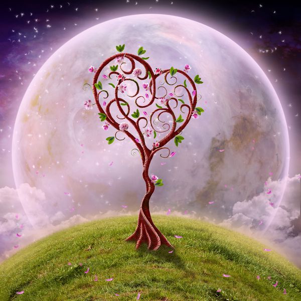 درخت عشق زیبا در پس زمینه عاشقانه