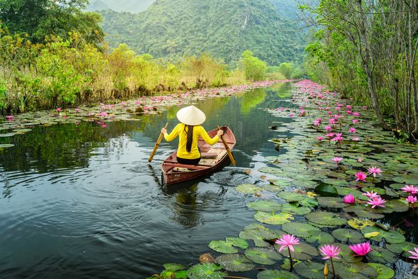 MYDUC ویتنام 27 دسامبر 2015 یک دختر بچه قایق سواری در جنگل سیلاب رودخانه