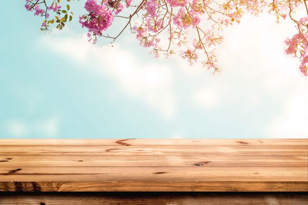 بالای میز چوبی با گل شکوفه آلبالو صورتی در زمینه آسمان خالی آماده نمایش یا مونتاژ محصول شما