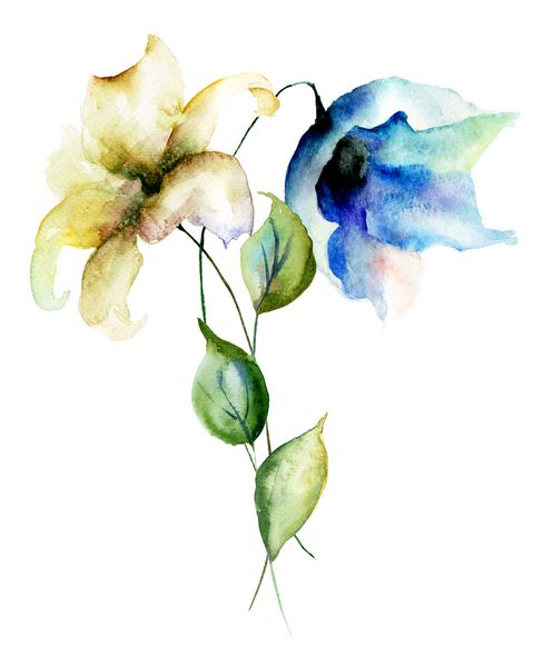 گلهای لیلی استایل شده تصویر آبرنگ