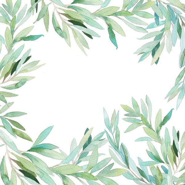 کارت قاب گل آبرنگ حاشیه رنگ شده با شاخه ها و برگهای جدا شده بر روی زمینه سفید طراحی قاب گیاه شناسی
