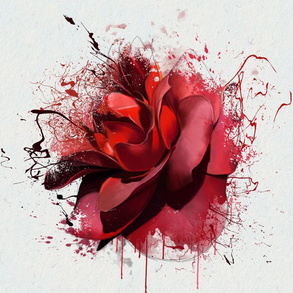 لوکس گل رز قرمز عمیق و زیبا روی یک پس زمینه سفید با عناصر طرح و رنگ اسپری به عنوان چاپ لباس نوت بوک جلد