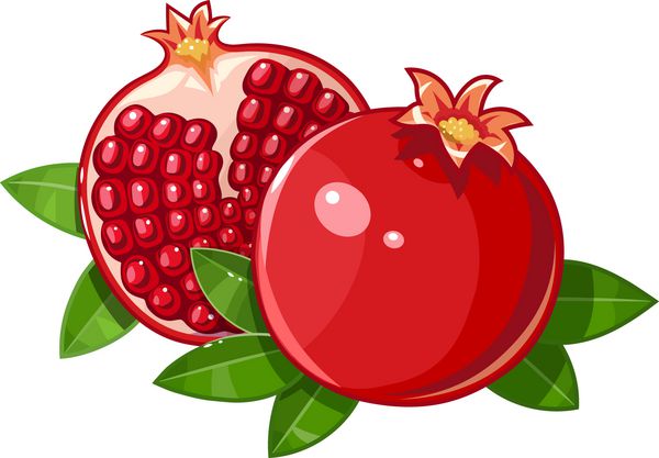 میوه انار با آب میوه رسیده و با تصویر برداری برگ زمینه سفید جدا شده انار قرمز برش انار انار تازه