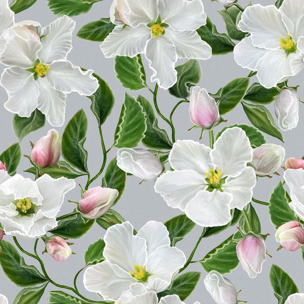 زمینه گل الگوی یکپارچه شاخه شکوفه های سیب گل بهاری گل های سفید