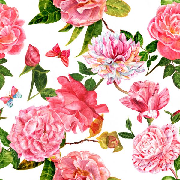 الگوی پس زمینه بدون درز با گل های آبرنگ صورتی گل رز شتره و dahlias و پروانه ها با برگ های سبز دستی که به سبک هنر گیاه شناسی پرنعمت نقاشی شده است