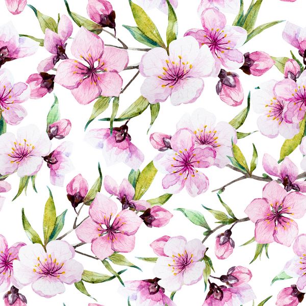 بهار الگوی آبرنگ شکوفه های گیلاس هلو شکوفه گلهای ظریف صورتی