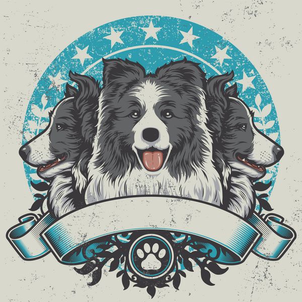 طراحی مرز کرلی مرز تصویر برداری سه سگ کولی مرزی خالص نمای جلوی و نمای پروفایل با افتخار بر روی یک بنر گرانج و عناصر طراحی گل نشسته اند