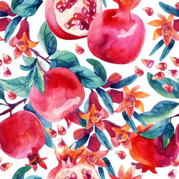 شاخه های شکوفه انار آبرنگ و الگوی بدون درز میوه میوه انار توت و گل با زمینه سفید تصویر نقاشی شده با دست