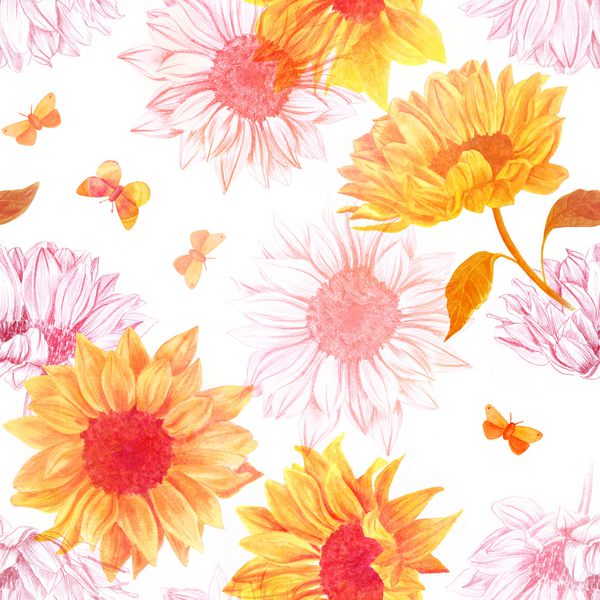 یک الگوی پس زمینه بدون درز با نقاشی های آبرنگ و مداد گلهای آفتابگردان و پروانه ها
