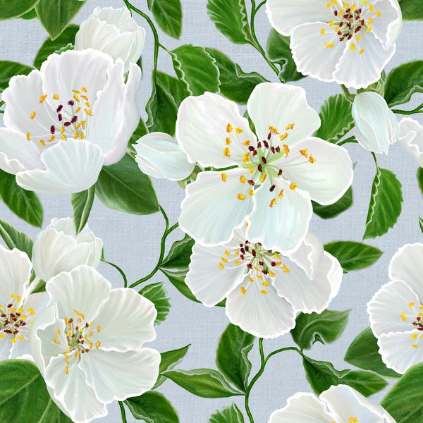 زمینه گل الگوی یکپارچه شاخه شکوفه های سیب گل بهاری گل های سفید
