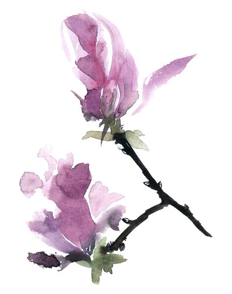 تصویر آبرنگ و جوهر از گل های درخت ماگنولیا