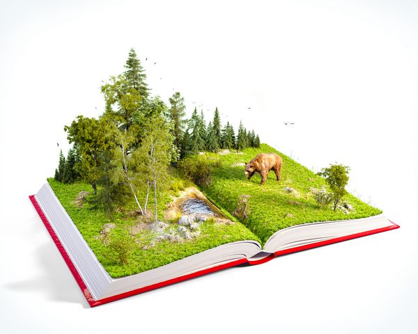 کتاب قرمز با جنگل وحشی و خرس را در صفحات افتتاح کرد لیست گونه های در معرض خطر تصویر غیر معمول 3D جدا شده
