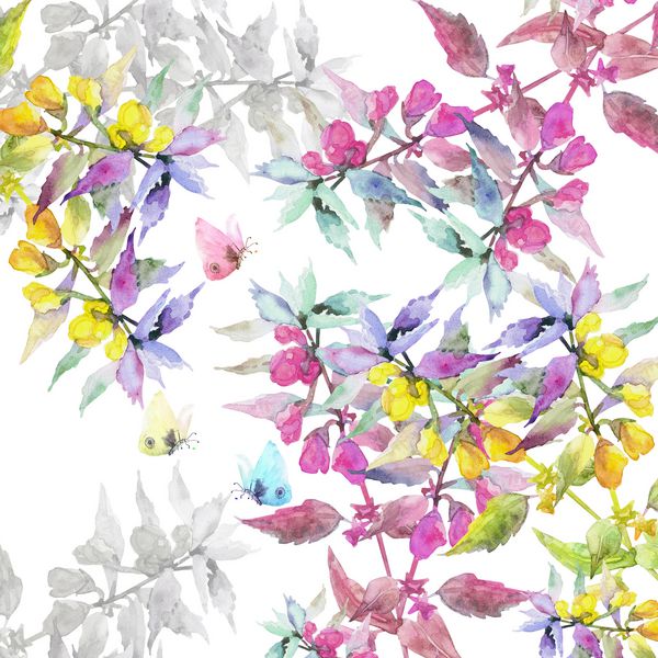 گلهای علفزار تابستانی شکوفه زیبا با پروانه ها تصویر آبرنگ جدا شده در زمینه سفید