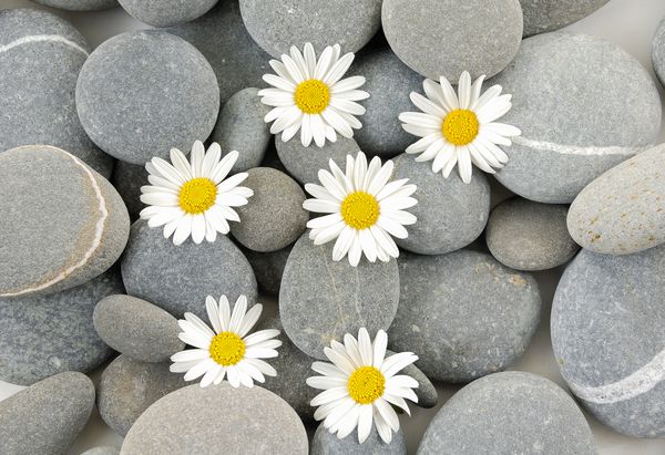 گلدان سفید با سنگهای درمانی