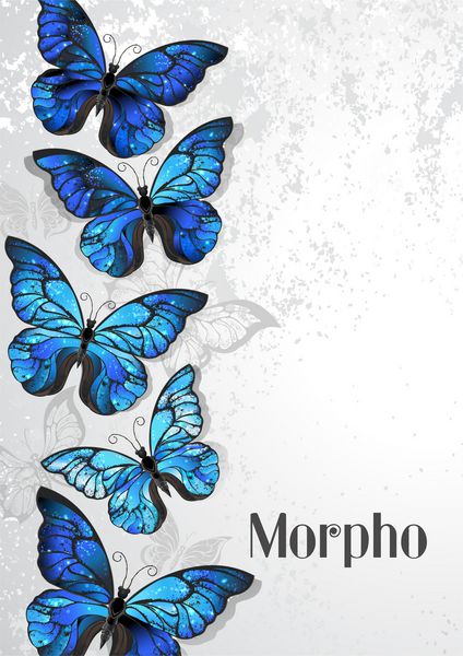 طراحی با مورفو پروانه ای با نقاشی های هنری با بال های آبی آبی در زمینه بافت خاکستری خاکستری