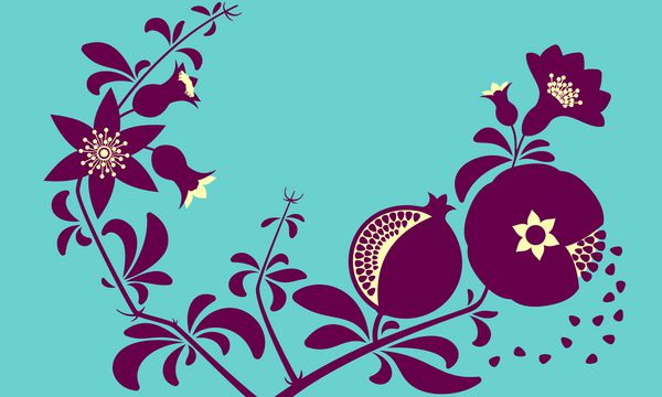 شاخه انار تزئینی تزئینی شاخه گل و میوه انار عنصر طراحی تصویر برداری انتزاعی انتزاعی برای طراحی بسته بندی بنر پوستر کارت