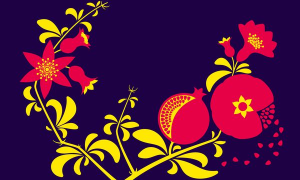 شاخه انار تزئینی تزئینی وکتور شاخه گل و میوه انار برای طراحی بسته بندی بنر پوستر کارت