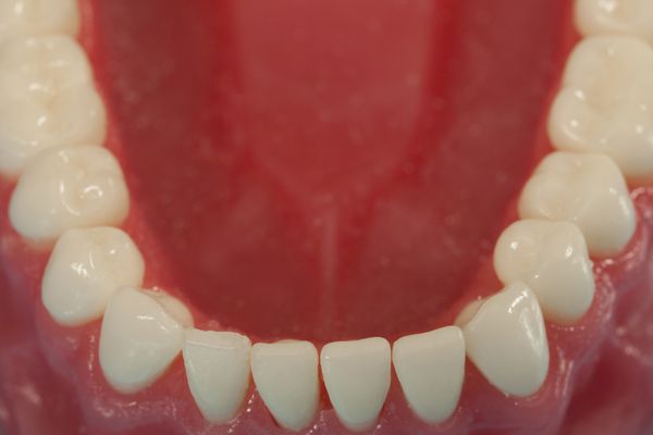دندانی