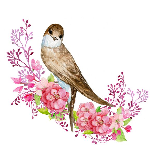 ترکیب گل پرندگان و گلهای آبی الگوی کارت تبریک تصویر آبرنگ