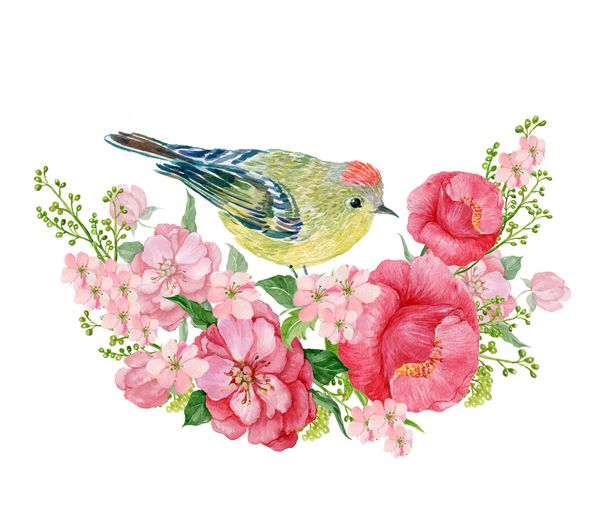ترکیب گل پرنده و گل الگوی کارت تبریک تصویر آبرنگ