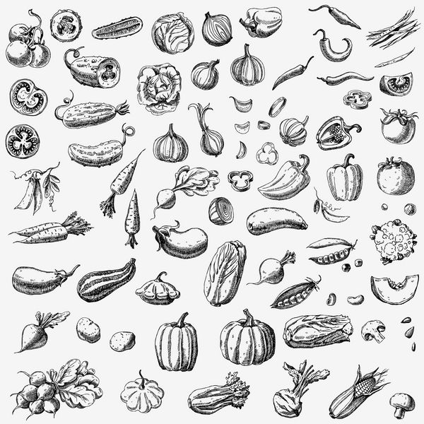 مجموعه ای از سبزیجات مختلف کشیده شده طرح غذاهای مختلف جدا شده روی سفید