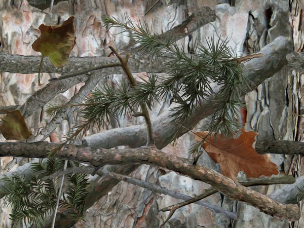 استتار جنگلی واقع گرایانه الگوی بدون درز درخت مخروط شاخه ها و برگ ها قابل استفاده برای شکار و اهداف نظامی